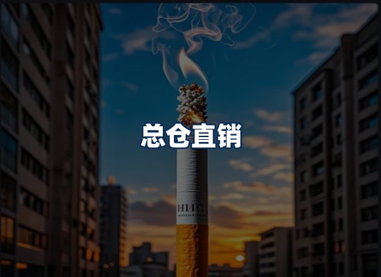 专业团队办公环境
